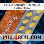 5 G De Kamagra 100 Mg De Gelée Orale 42